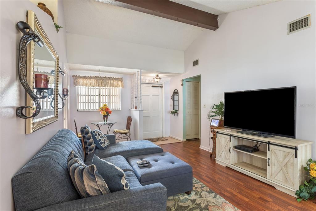 502 Avocado Circle Brandon, FL 33510 - Photo 10 of 50 a living room with furniture and a flat screen tv