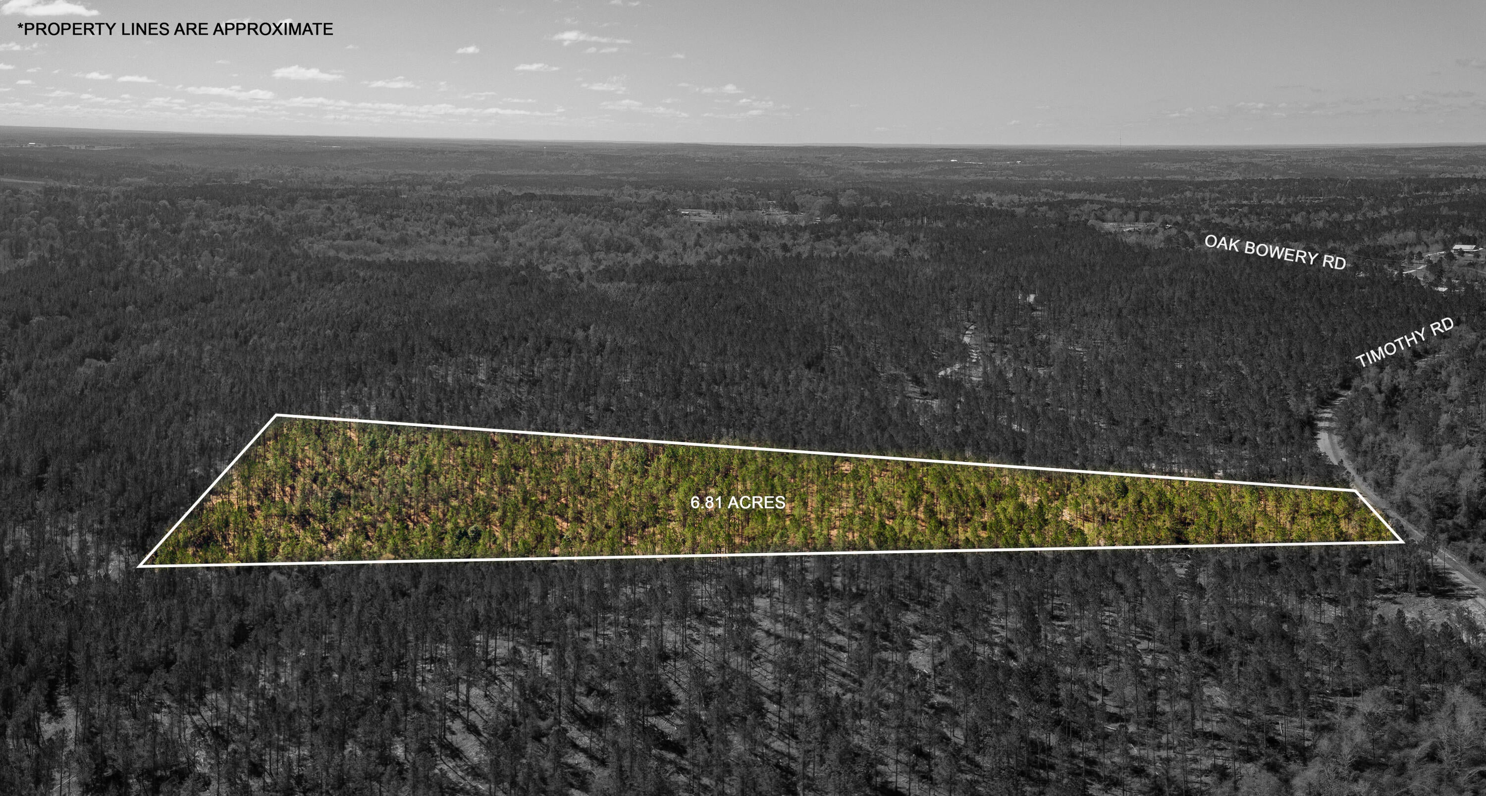 Lot 7 Timothy Road Ellisville, MS 39437 - Photo 4 of 29 Gallery Image 4