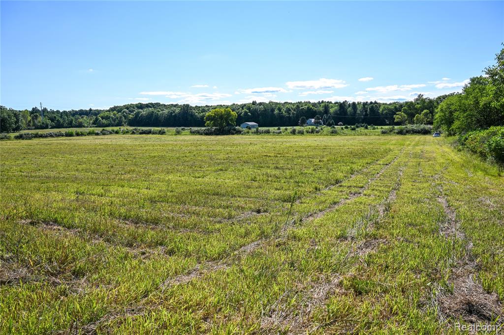 0 Wagner Road Imlay City, MI 48444 - Photo 30 of 43