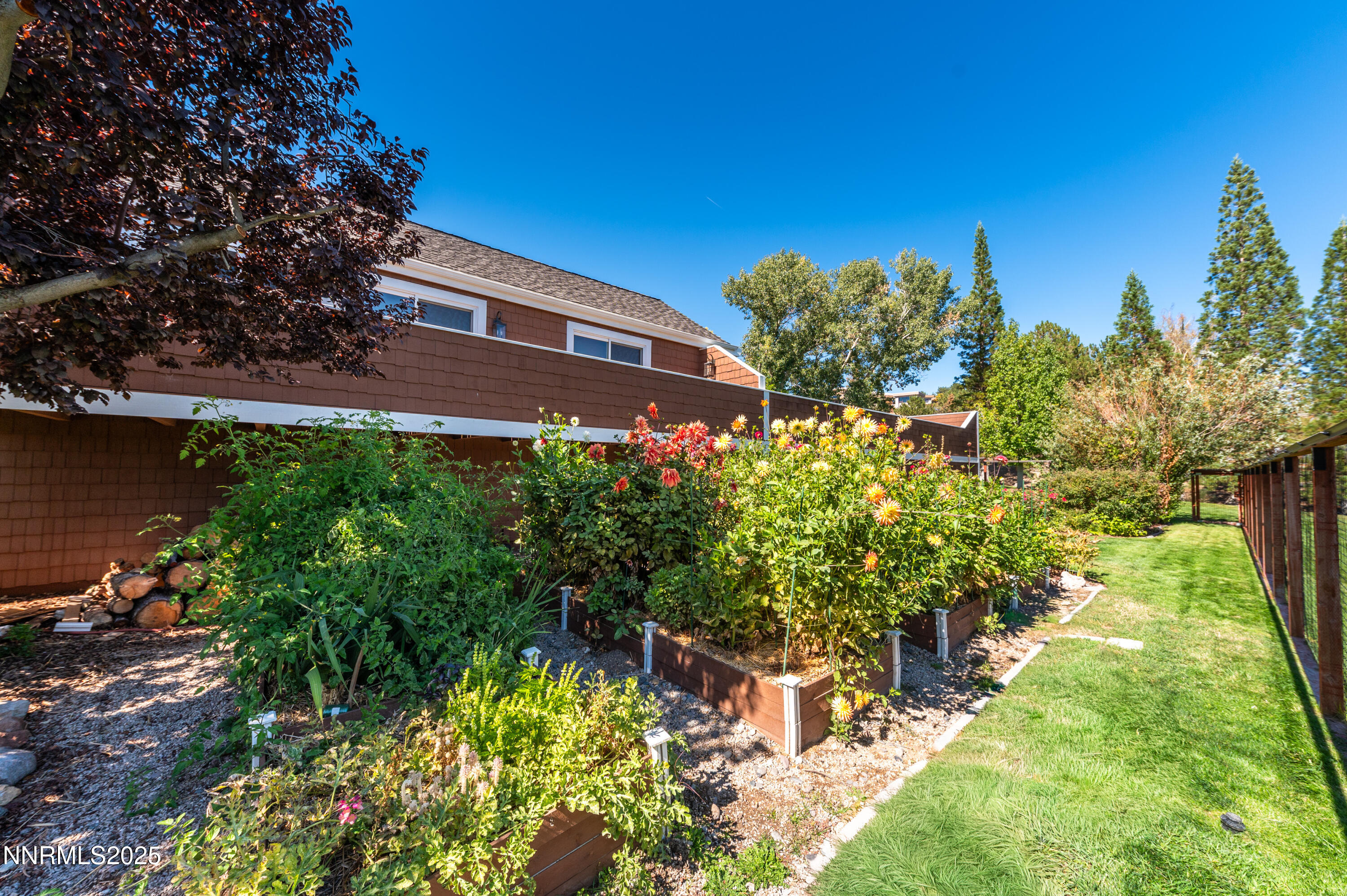 40 MacFarlane Drive Reno, NV 89511 - Photo 25 of 37 a view of a garden