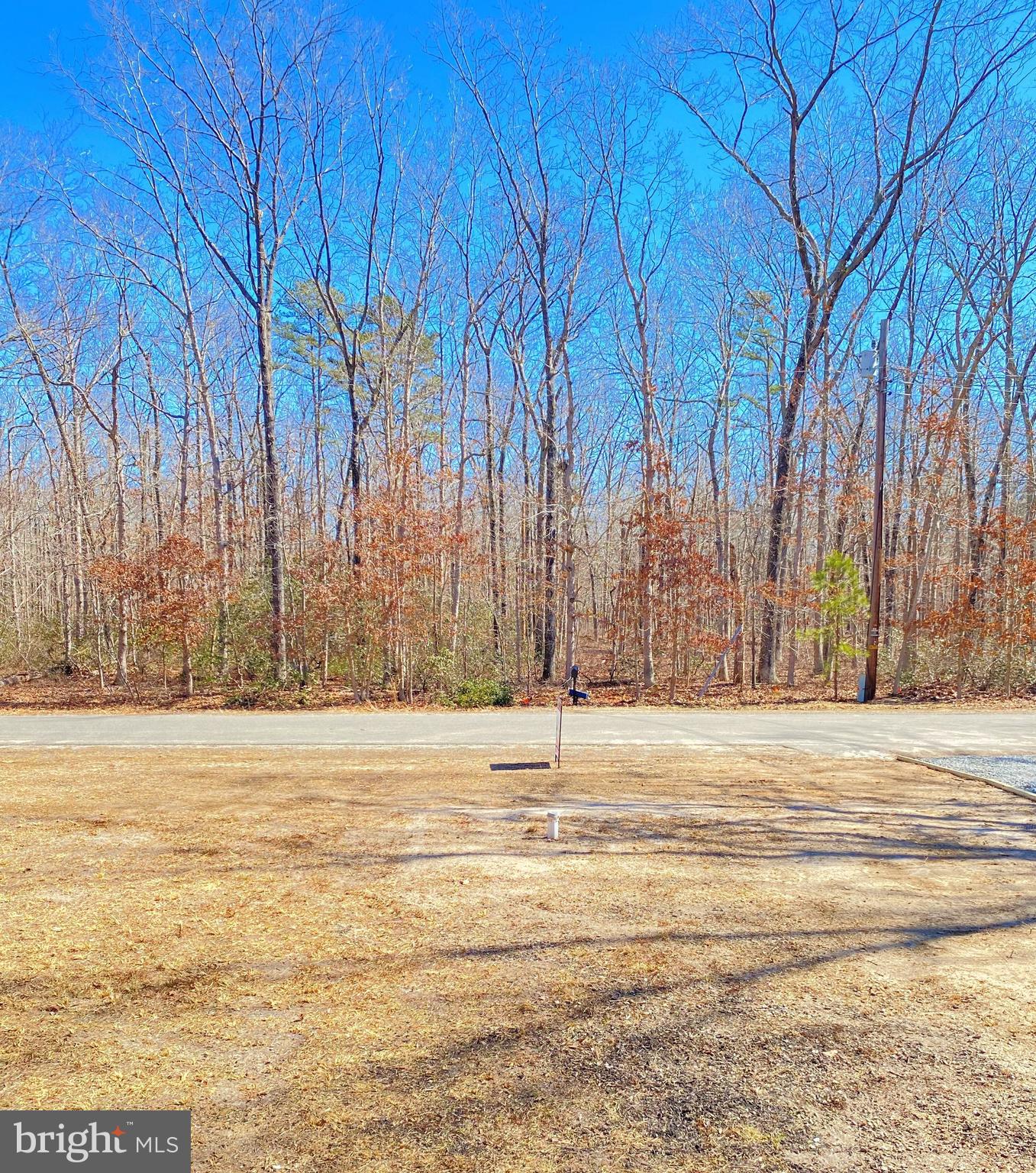 207 Risa Avenue Newfield, NJ 08344 - Photo 24 of 24 Gallery Image 24