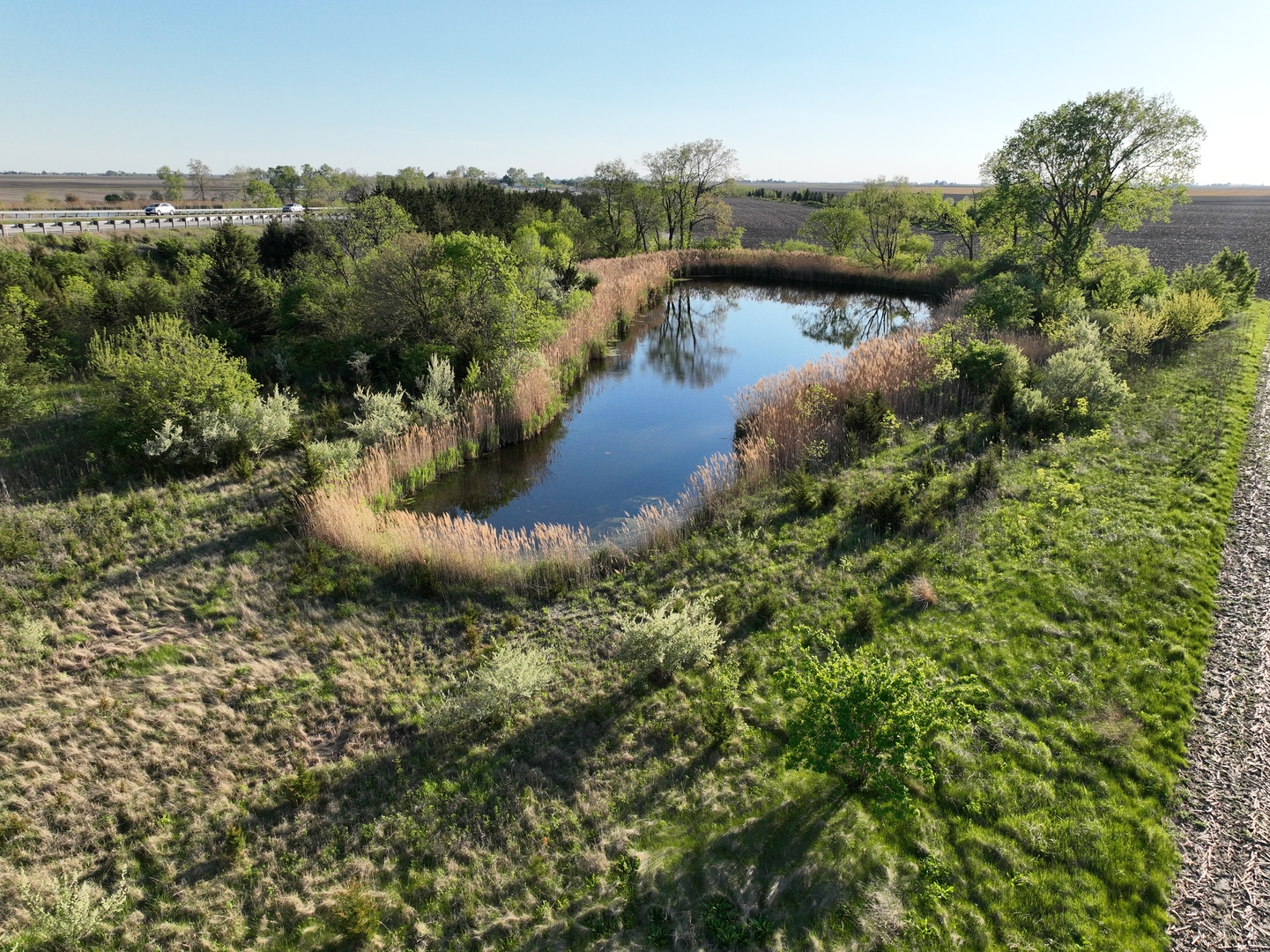 990 East 2800 North Road Clifton, IL 60927 - Photo 16 of 16 a view of a lake from a yard