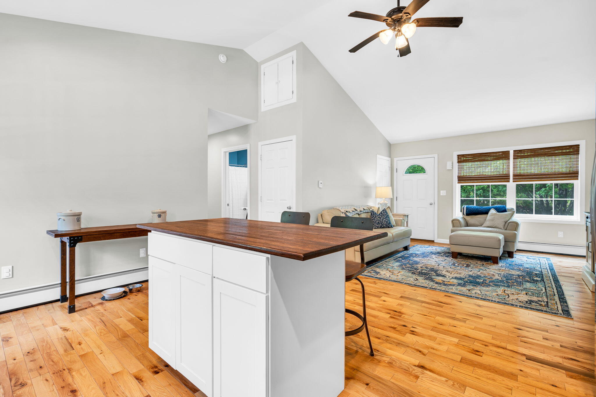 359 Mansion Road Hollis Center, ME 04042 - Photo 14 of 31 16-web-or-mls-DSC04589