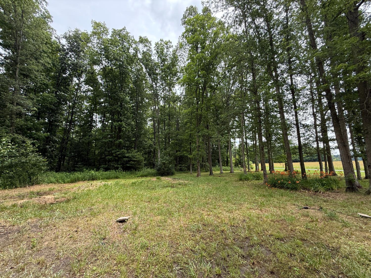 6252 North Old Michigan Road Osgood, IN 47037 - Photo 8 of 13