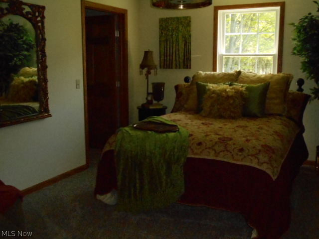 5998 Middle Road Conneaut, OH 44030 - Photo 20 of 25 Bedroom #2 on main floor.