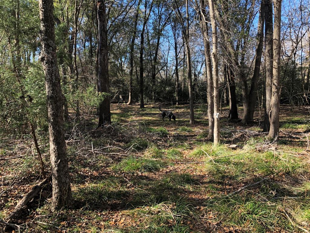 190 Private Road Groesbeck, TX 76642 - Photo 21 of 25 a backyard of a house with lots of green space
