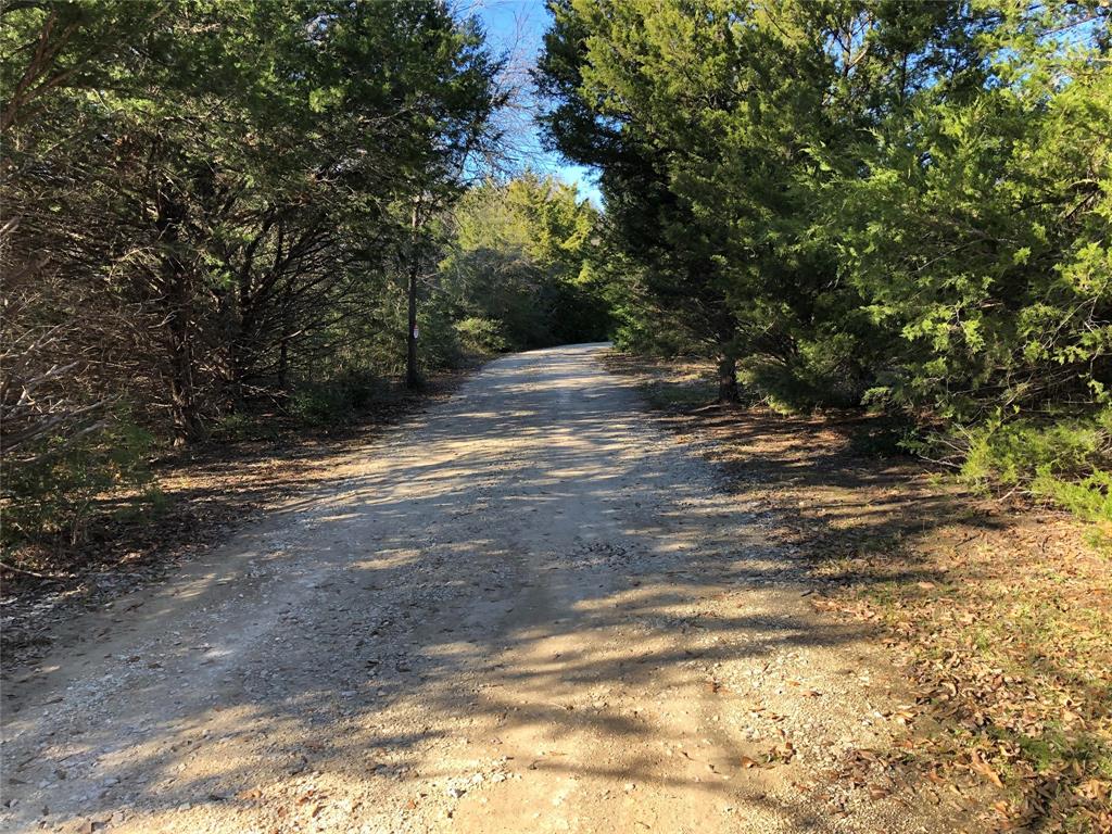 190 Private Road Groesbeck, TX 76642 - Photo 7 of 25 a view of a yard with a tree