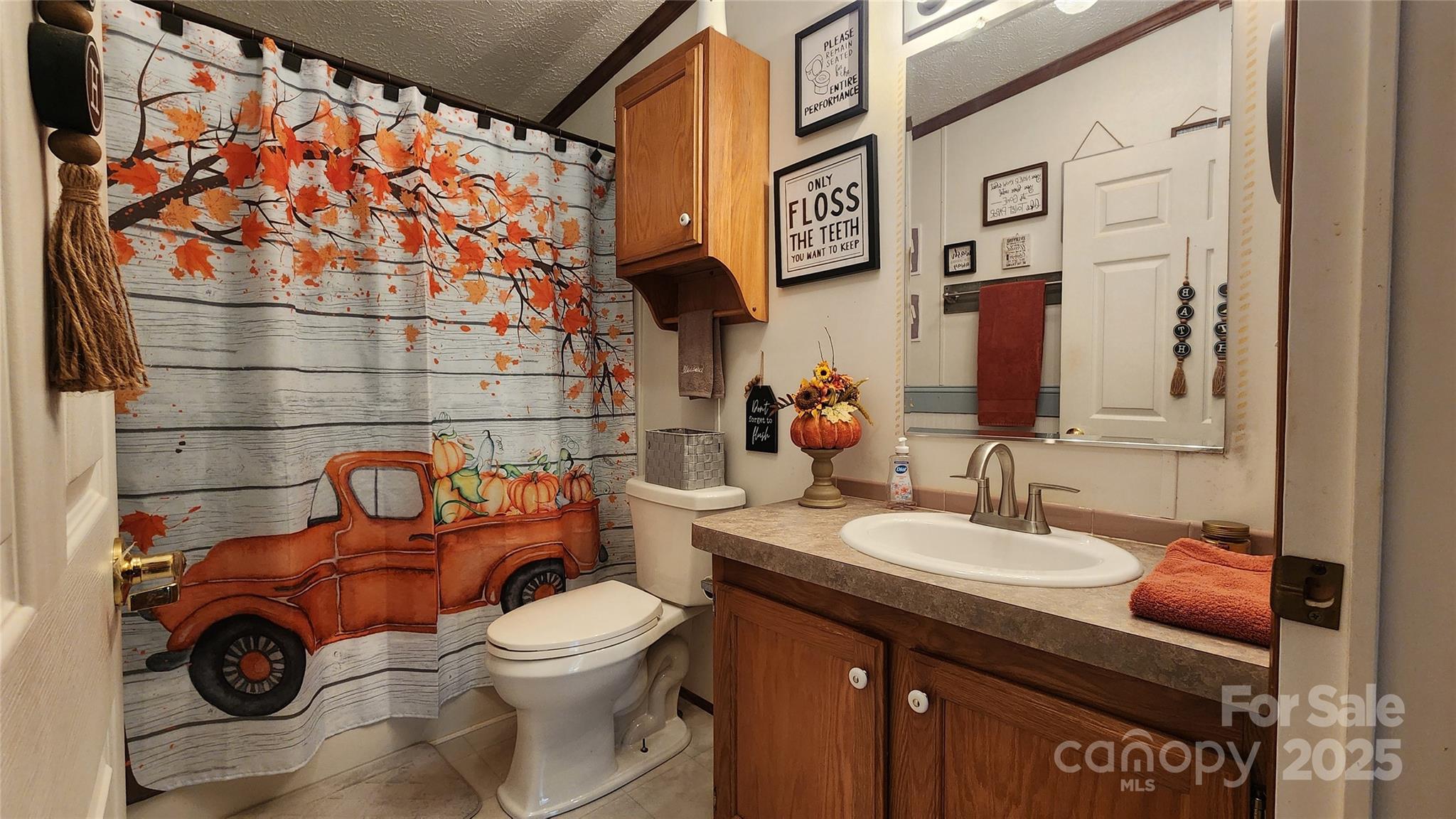 141 Hungry Creek Road Canton, NC 28716 - Photo 11 of 38 a bathroom with a sink and a mirror