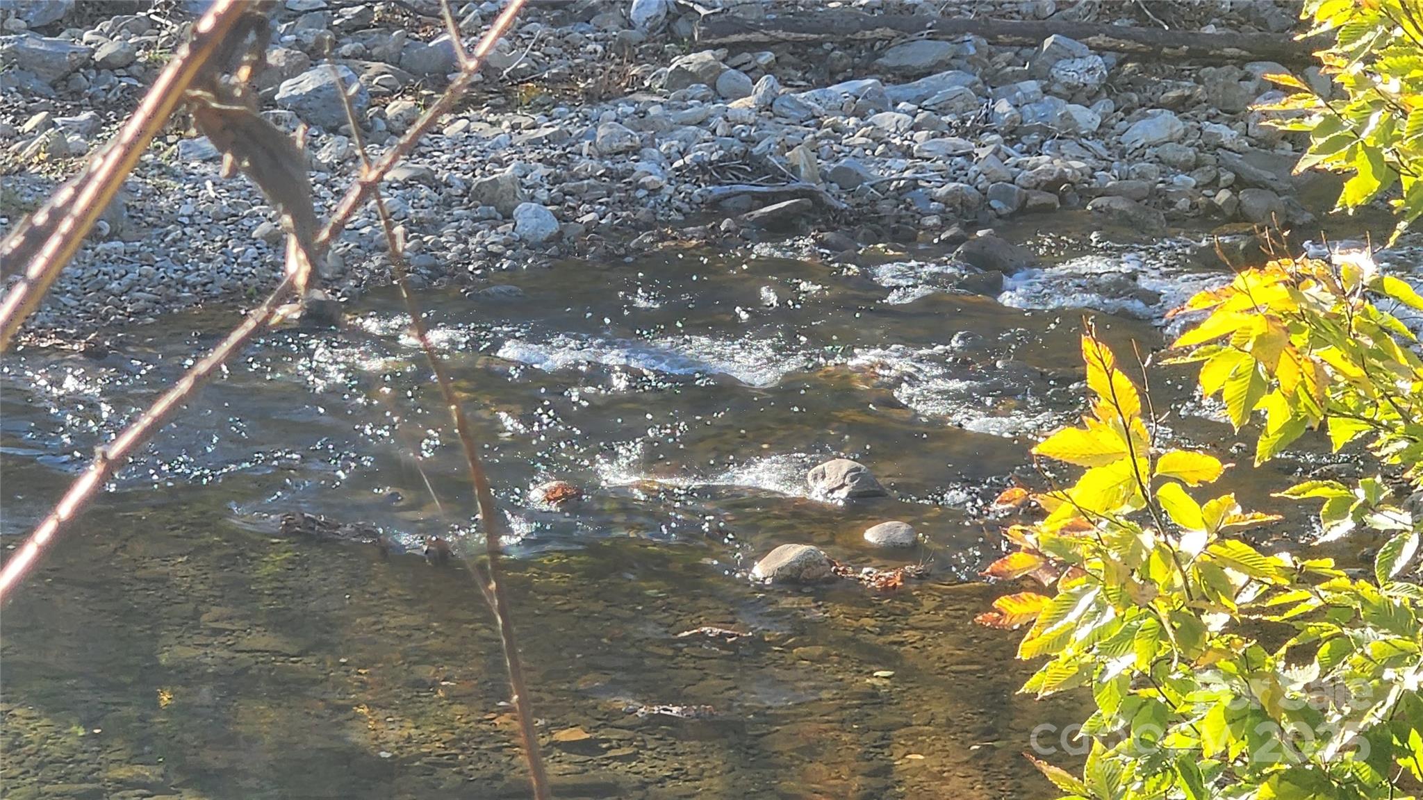 141 Hungry Creek Road Canton, NC 28716 - Photo 35 of 38 a picture of tree