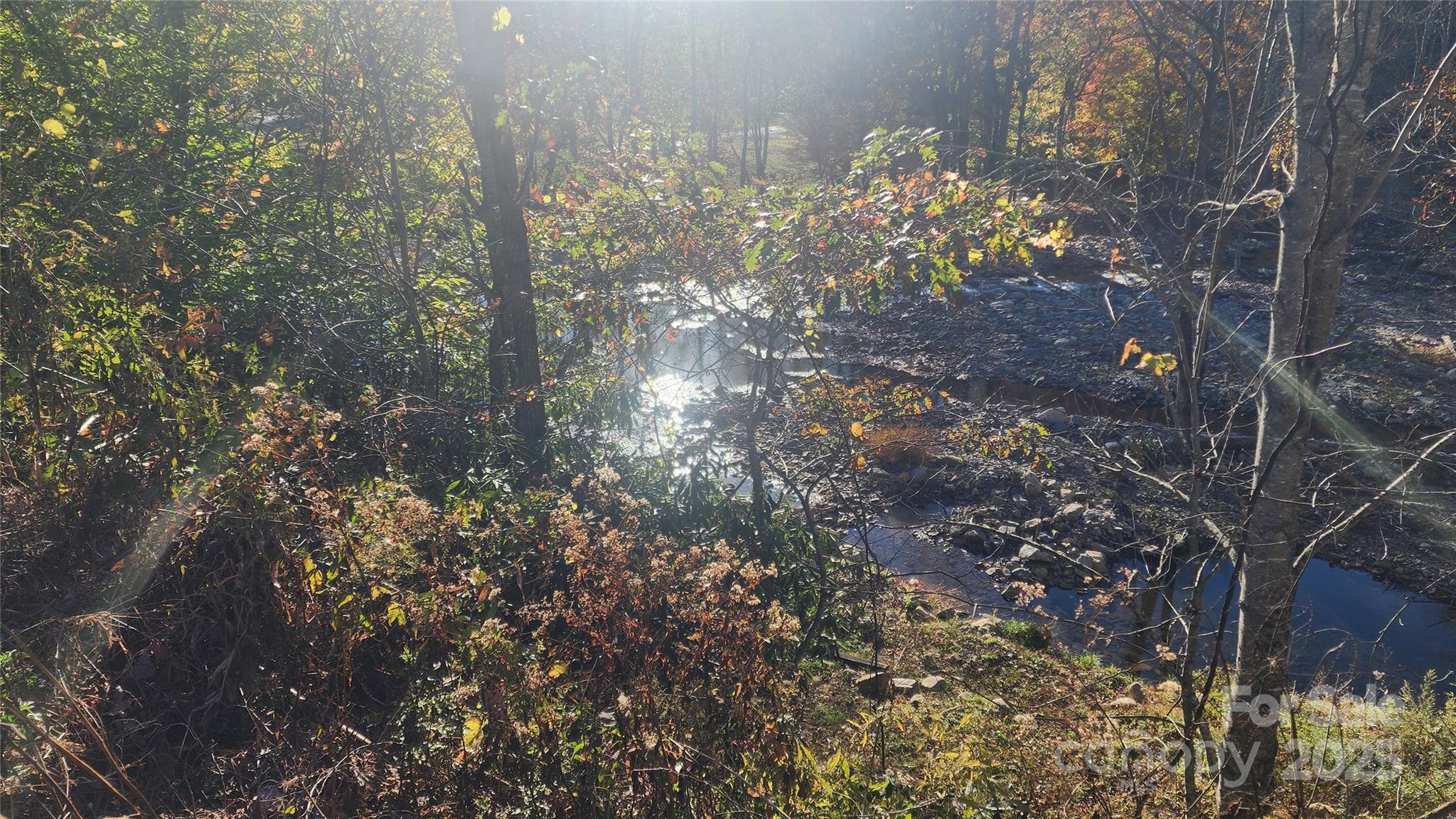 141 Hungry Creek Road Canton, NC 28716 - Photo 36 of 38