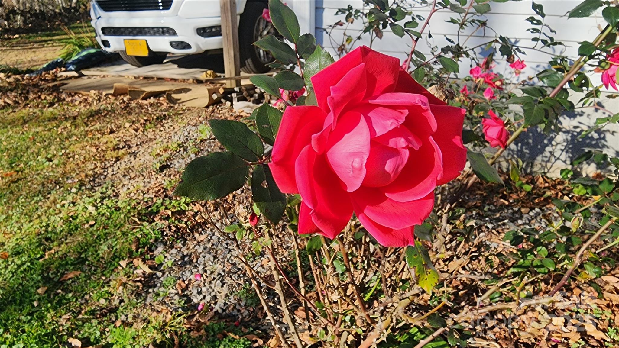 141 Hungry Creek Road Canton, NC 28716 - Photo 6 of 38