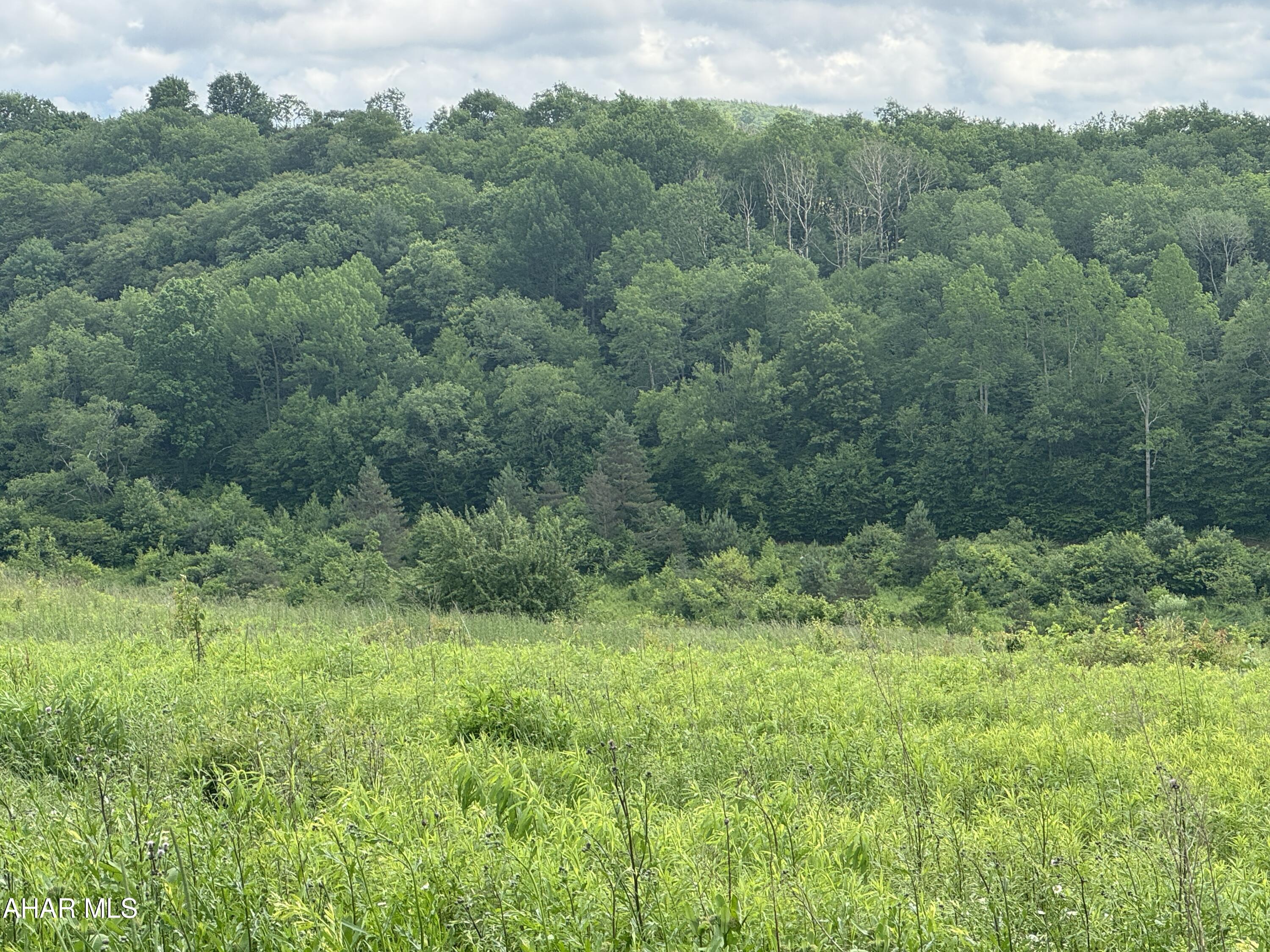 0 Beck Road Loretto, PA 15940 - Photo 4 of 5