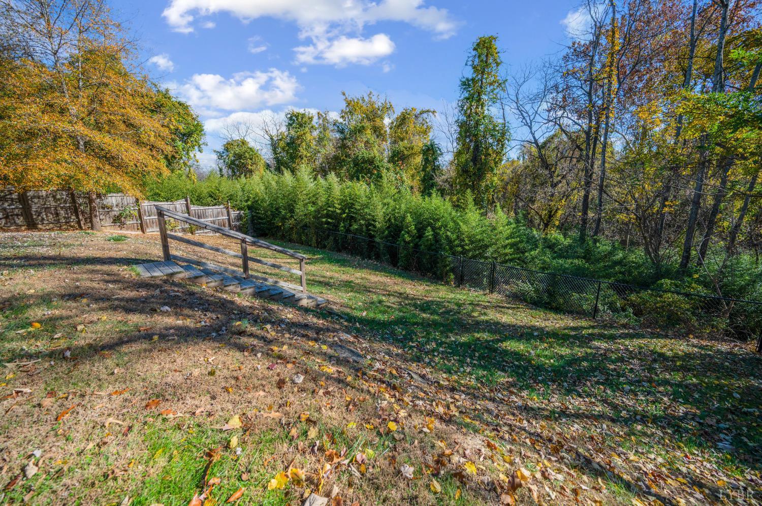 710 Riverside Drive Lynchburg, VA 24503 - Photo 38 of 53 a view of backyard with green space