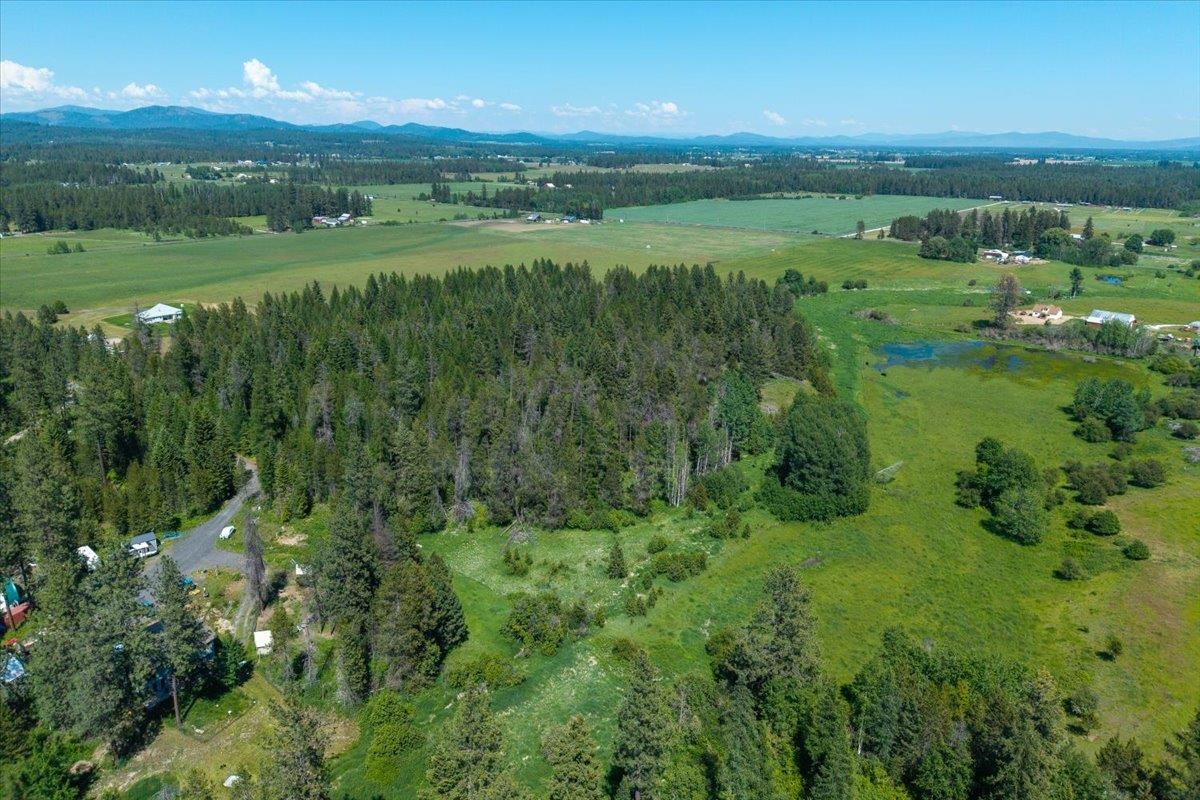 4668 Williams Valley Road Clayton, WA 99110 - Photo 16 of 44