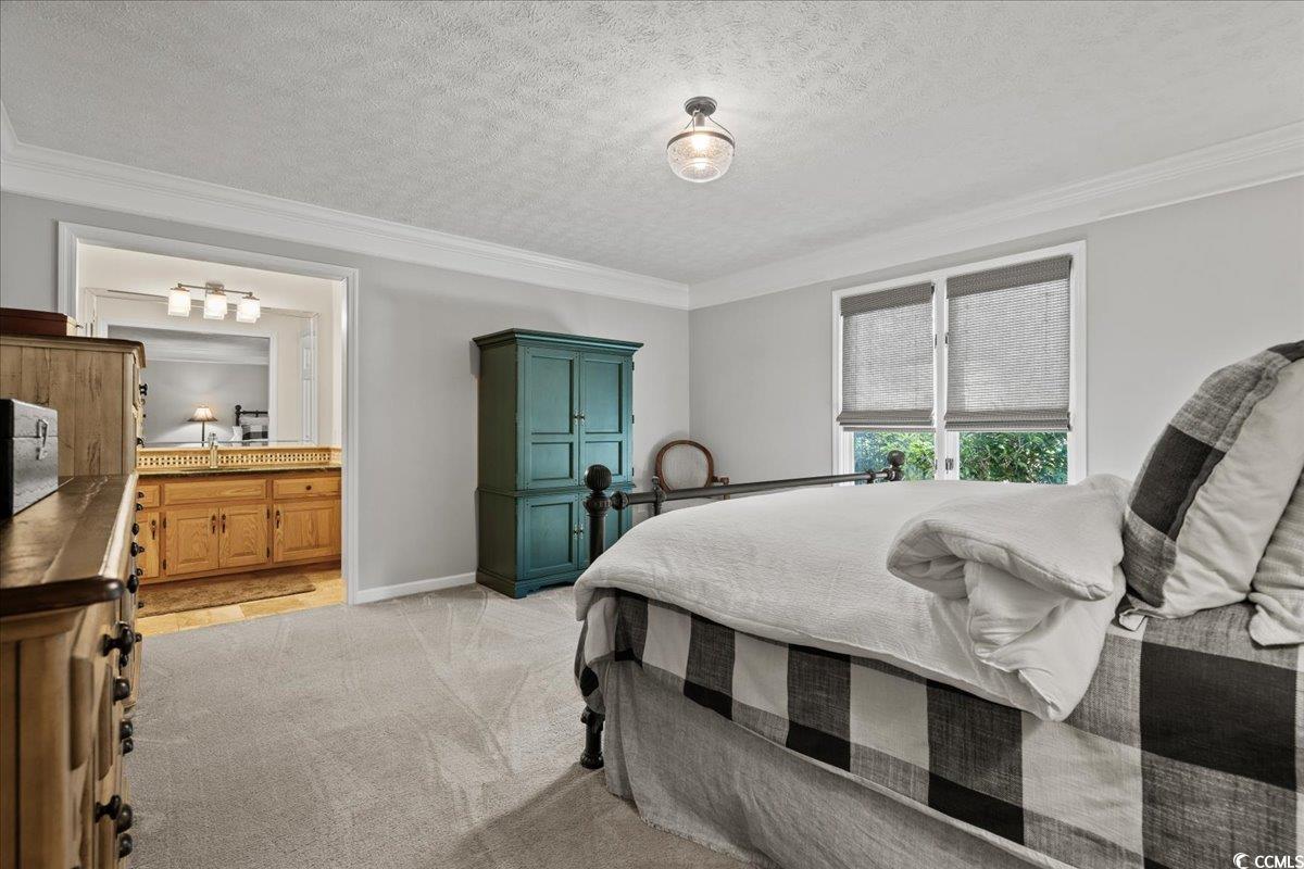 117 John Waites Court Georgetown, SC 29440 - Photo 29 of 40 Bedroom featuring a textured ceiling, crown molding, light colored carpet, and ensuite bathroom