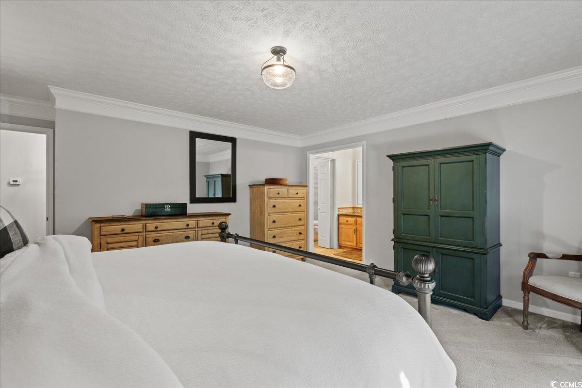 117 John Waites Court Georgetown, SC 29440 - Photo 31 of 40 Bedroom with a textured ceiling, ornamental molding, light colored carpet, and ensuite bathroom