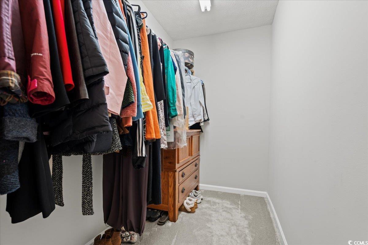 117 John Waites Court Georgetown, SC 29440 - Photo 32 of 40 Walk in closet with light colored carpet
