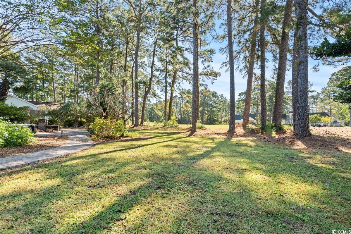 117 John Waites Court Georgetown, SC 29440 - Photo 39 of 40 View of grassy yard