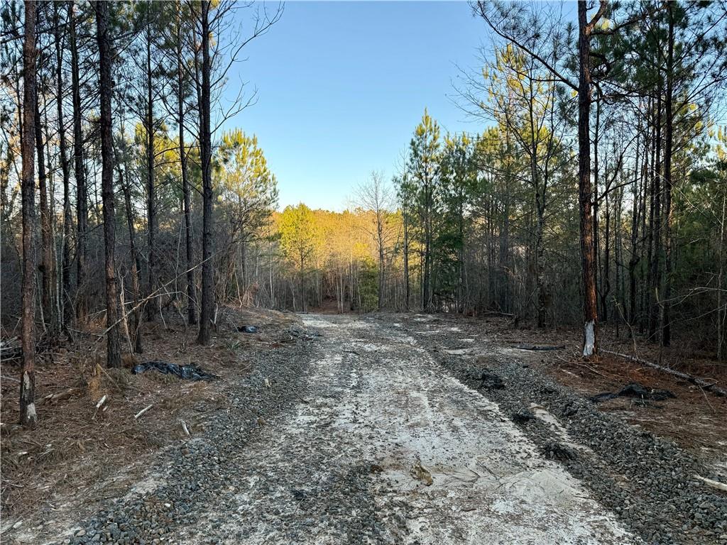 377 Ridge Road Seale, AL 36875 - Photo 6 of 15 Gallery Image 6