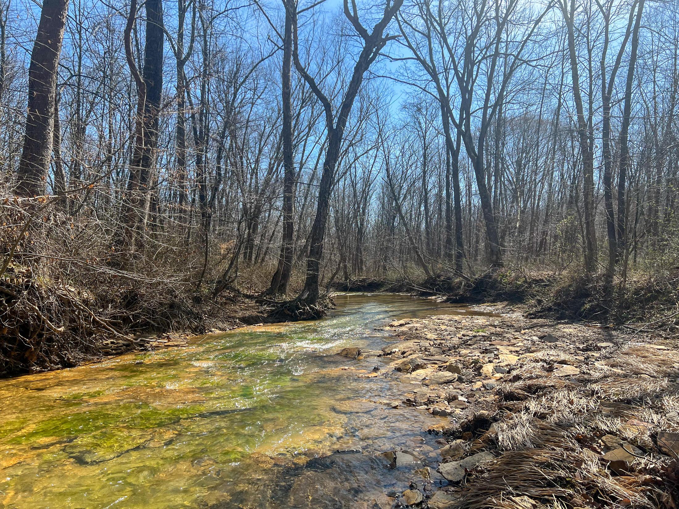 0 Locust Grove Road McArthur, OH 45651 - Photo 11 of 12 IMG_7080