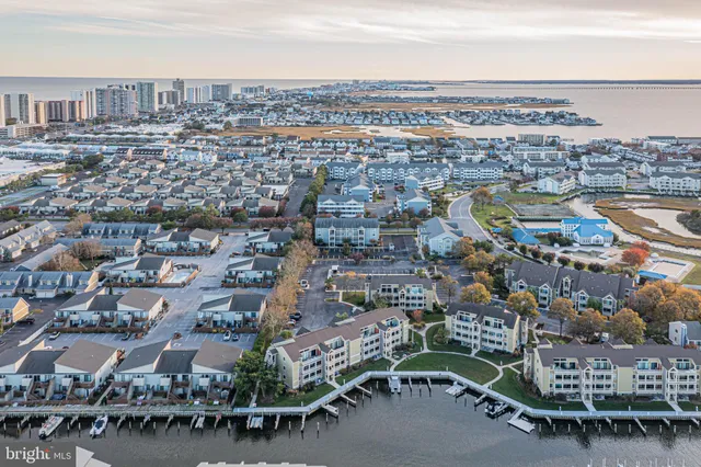 a view of a city in a back yard