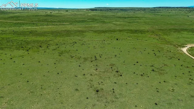 a view of a field with an ocean