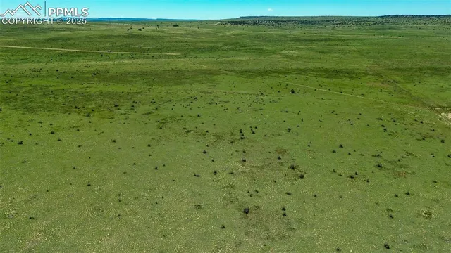 a view of a field with an ocean