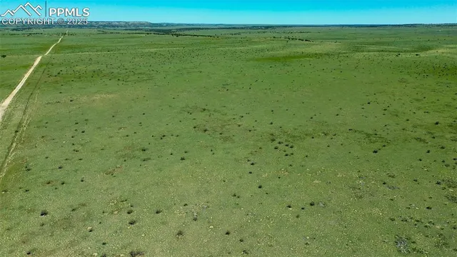 a view of a field with an ocean