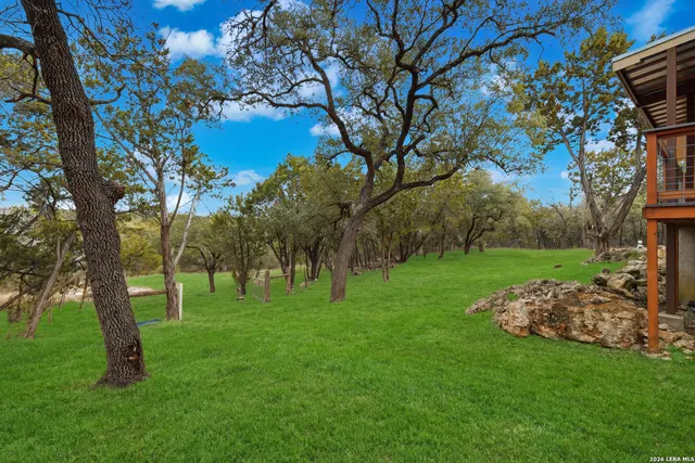 a view of a park with large trees