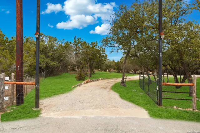 a view of a park with large trees