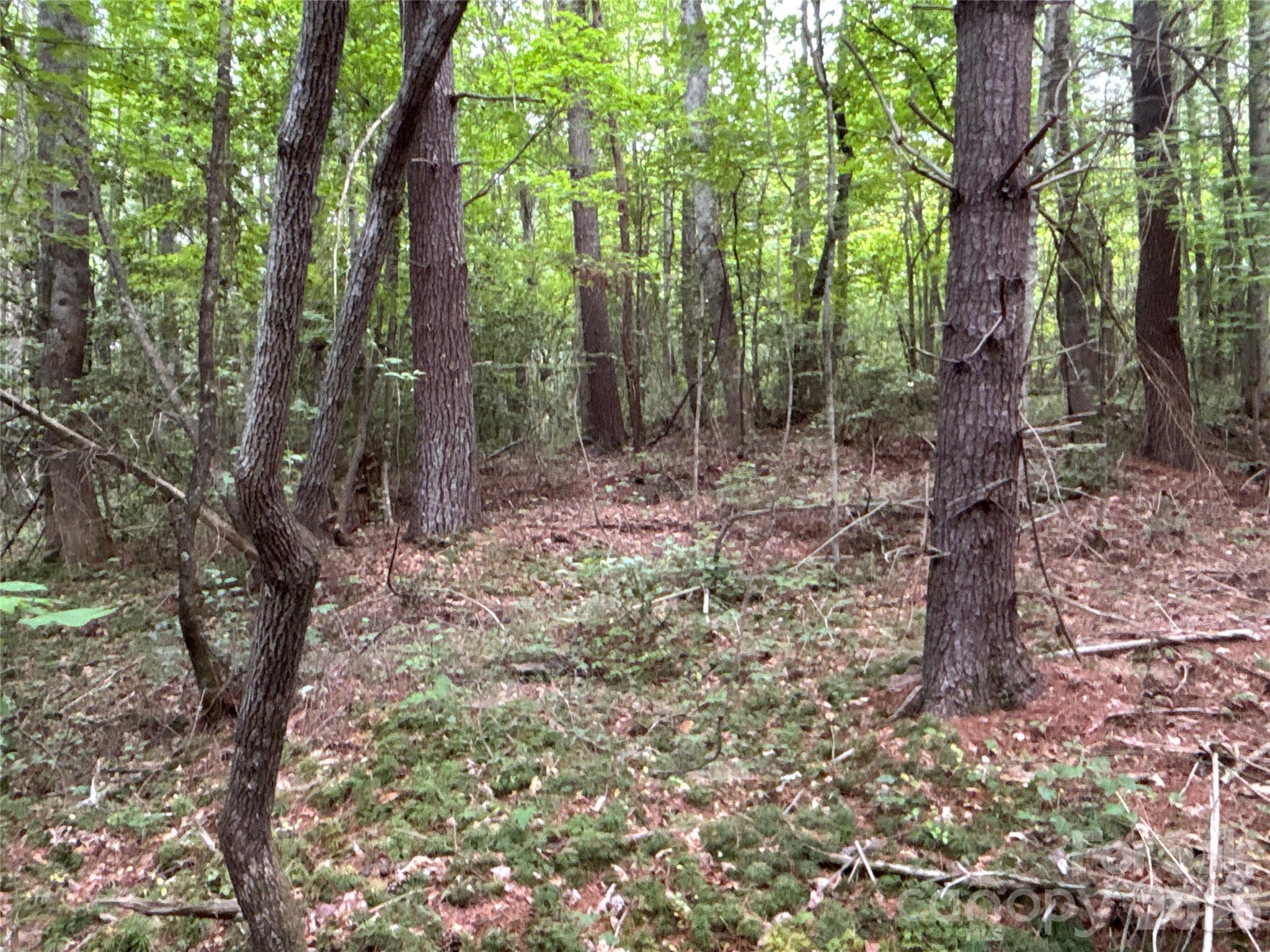 0 J J Thomas Road Morganton, NC 28655 - Photo 8 of 11