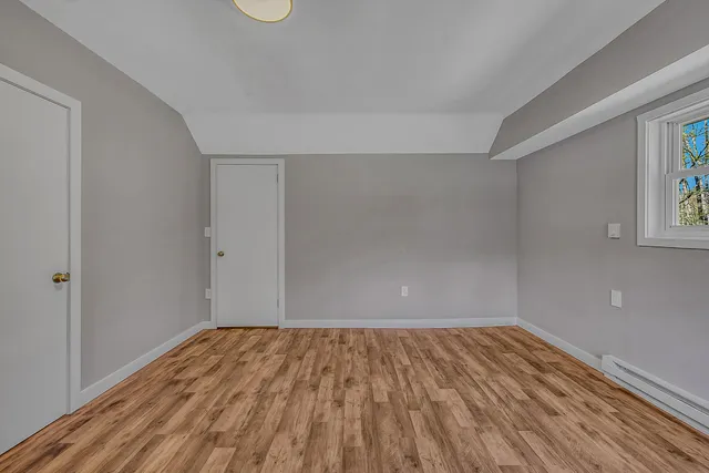 a view of a forest with a tree