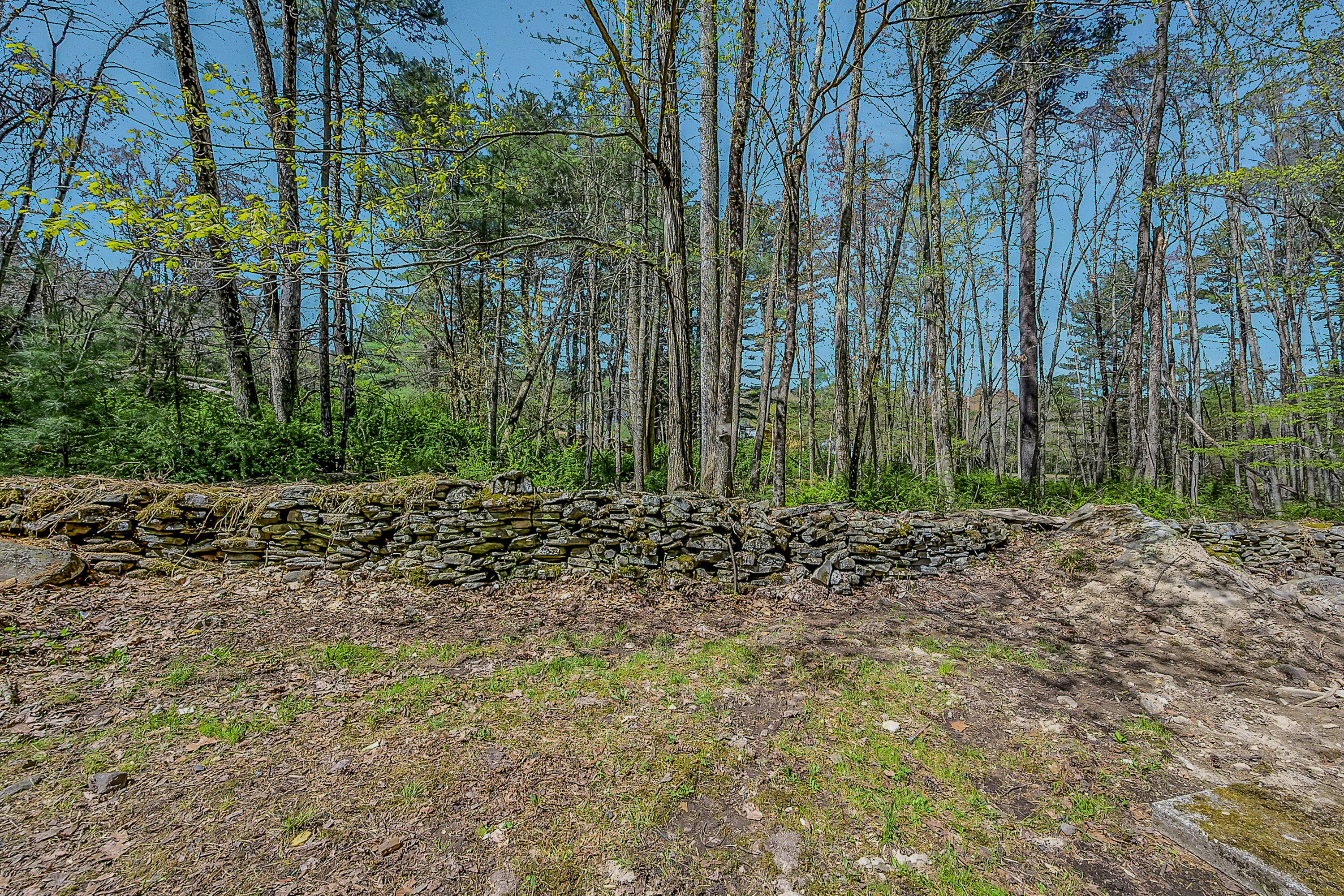 133 Neil Thompson Road Lackawaxen, PA 18425 - Photo 8 of 65 a view of outdoor space and green space