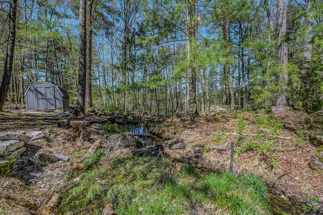 a view of yard with tree and green space