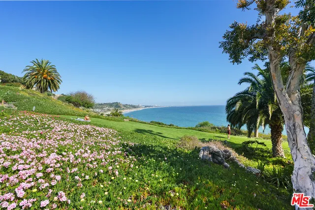 a view of a yard with an ocean and trees in the background