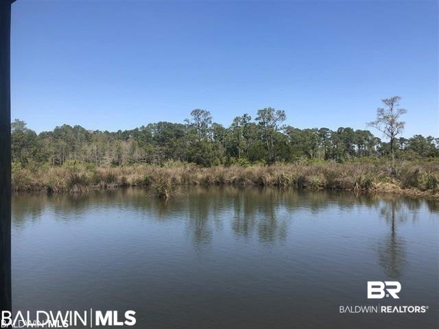 0 County Road 20 Elberta, AL 36530 - Photo 8 of 17