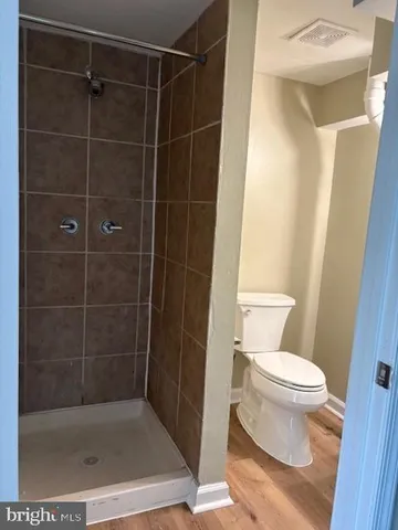 a bathroom with a shower and a toilet