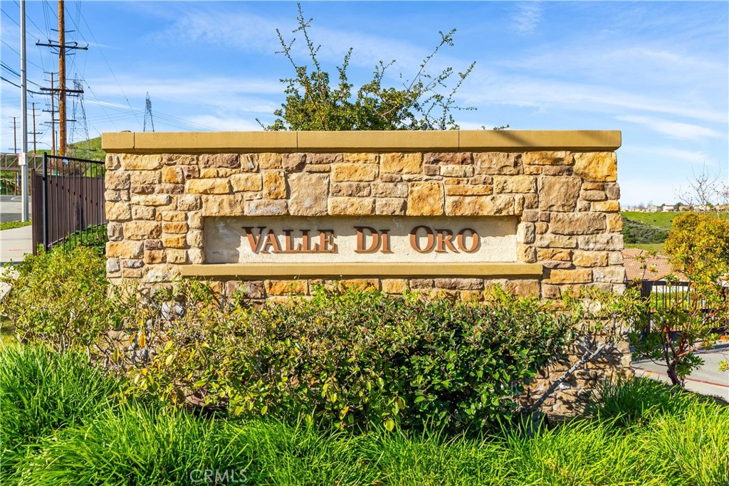 19849 Via Ott Newhall, CA 91321 - Photo 49 of 50