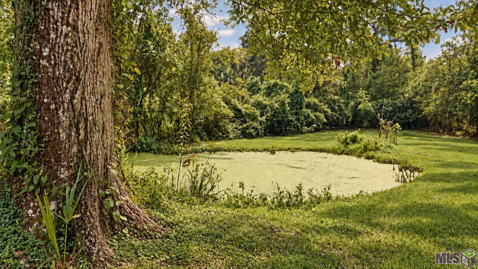 6648 Highland Road Baton Rouge, LA 70808 - Photo 50 of 60 Gallery Image 50
