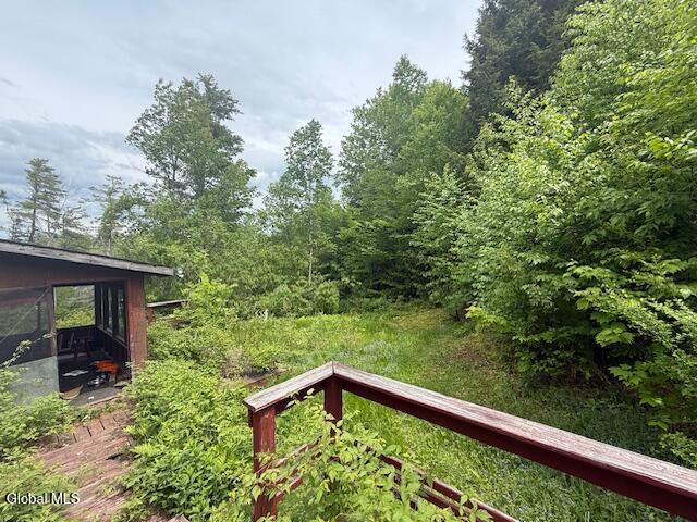 425 Barton Hill Road Delanson, NY 12053 - Photo 28 of 29 IMG_9203