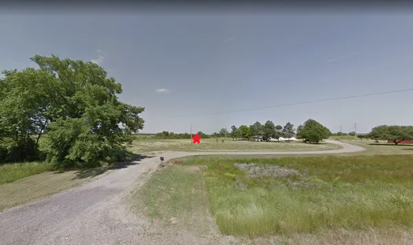 a view of a big yard with potted plants