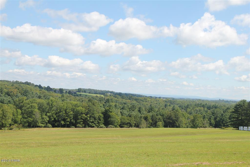 Skinner Road Honesdale, PA 18431 - Photo 1 of 10