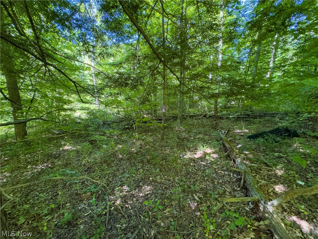 2 Jake Road Patriot, OH 45658 - Photo 11 of 20
