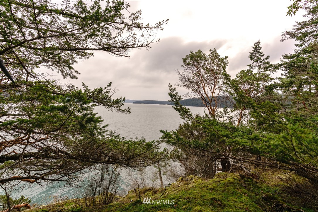 764 Broken Point Road Shaw Island, WA 98286 - Photo 14 of 24 Gallery Image 14