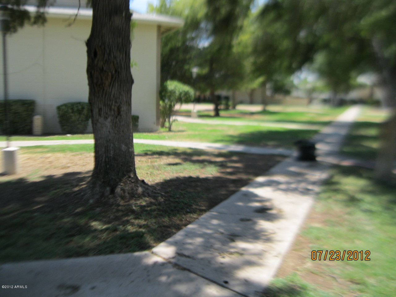4333 West Ocotillo Road Glendale, AZ 85301 - Photo 7 of 16 yard
