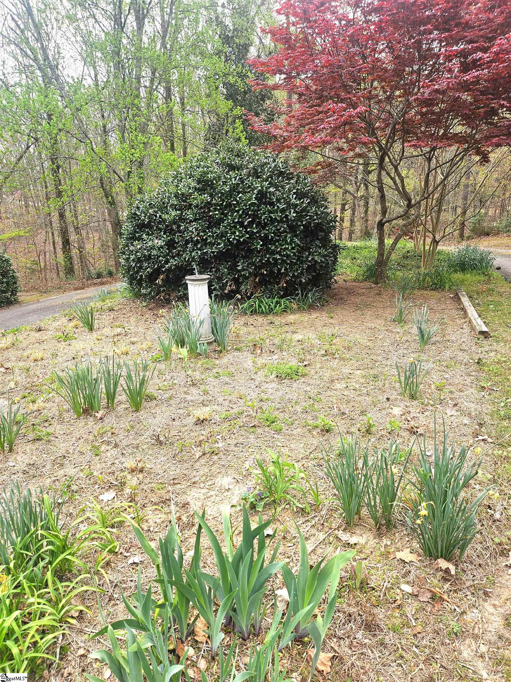 213 Anthony Road Pickens, SC 29671 - Photo 29 of 33