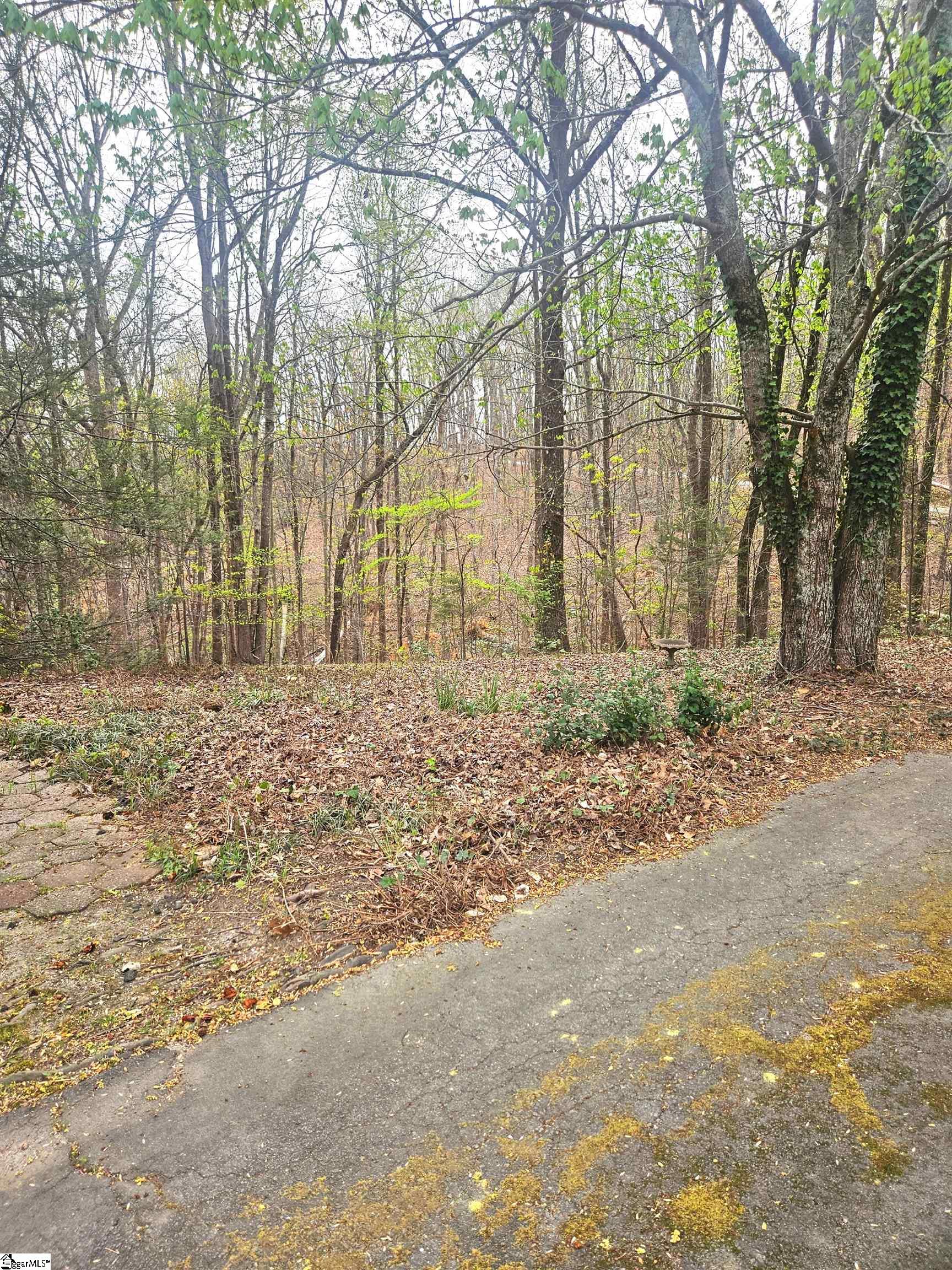 213 Anthony Road Pickens, SC 29671 - Photo 30 of 33