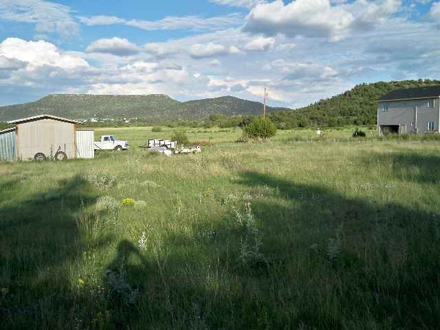Tbd Foote Road Eagar, AZ 85925 - Photo 3 of 4