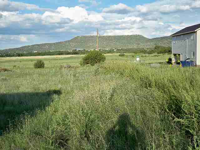 Tbd Foote Road Eagar, AZ 85925 - Photo 4 of 4