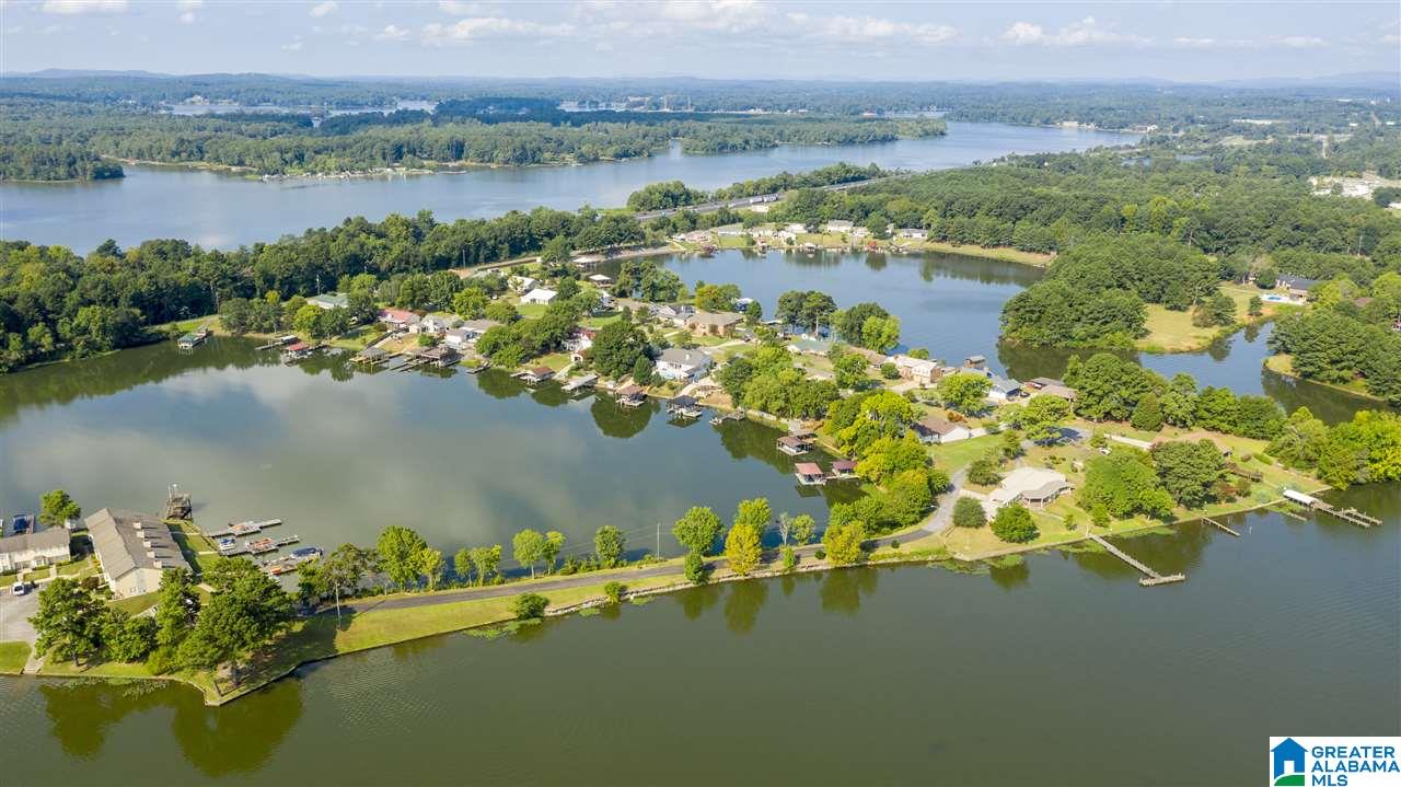 741 Coves Point Drive Riverside, AL 35135 - Photo 41 of 50